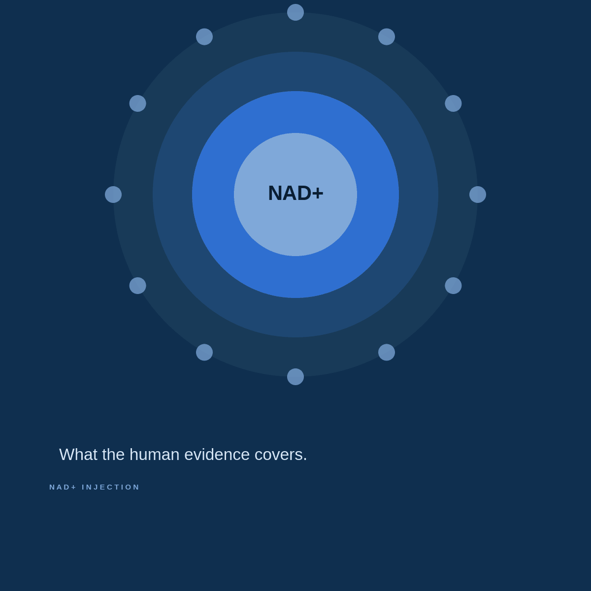 Concentric rings representing a cell with NAD+ at the centre