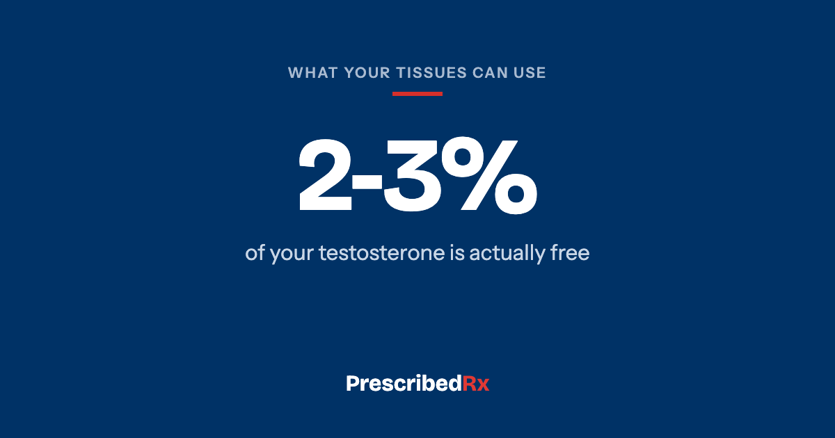 Navy card reading two to three percent of circulating testosterone is free.